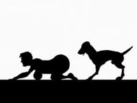 Funny animated sex video shows a beast impregnating a wanting whore
